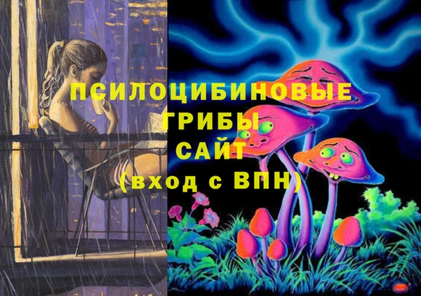 мдпв Краснотурьинск