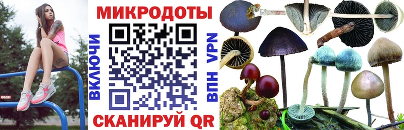 Купить  Волжск  Галлюциногенные грибы мухоморы 